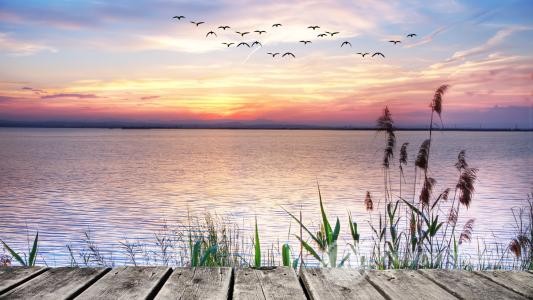 新加坡南洋理工大学四年留学费用需要多少？