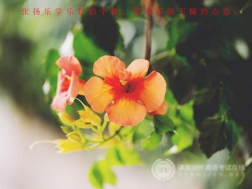 英国留学：奢侈品管理专业名校推荐
