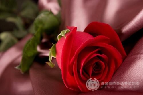 申请英国硕士留学,学历不足怎么办? 申请英国硕士留学,学历不足怎么办?