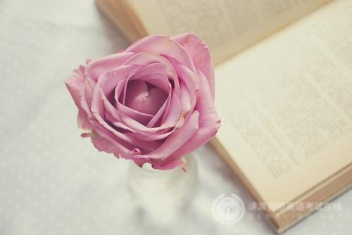 美国研究生、硕士留学热门专业推荐 美国研究生、硕士留学热门专业推荐