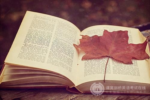 英国和中国的升学方式是否相同