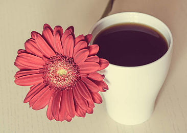 熟悉又陌生的A-Level中文考什么？怎么学习？