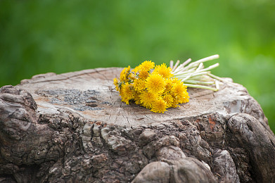 英国留学签证被拒？如何进行申诉？