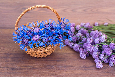 美国大学招生咨询委员会：SAT成绩分数最重要！